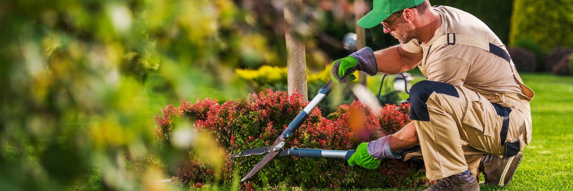 Alles im<br>grünen Bereich!