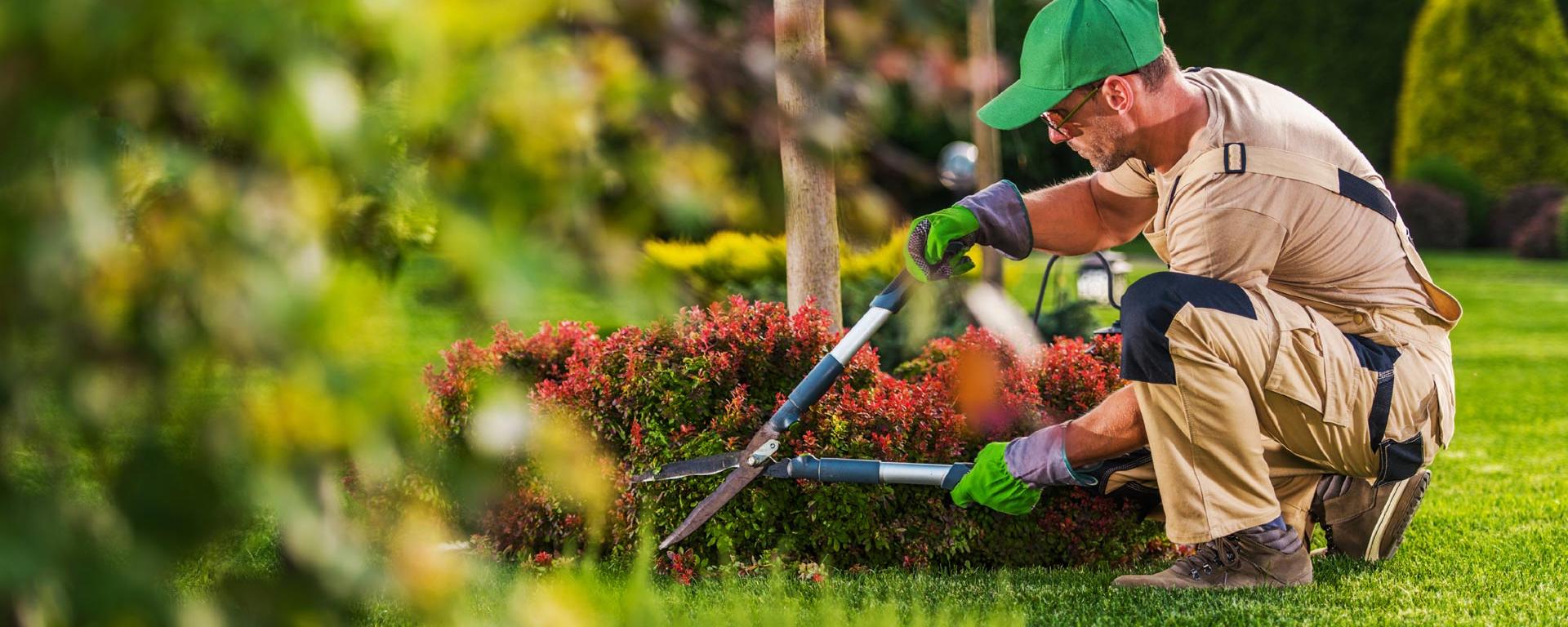 Alles im<br>grünen Bereich!