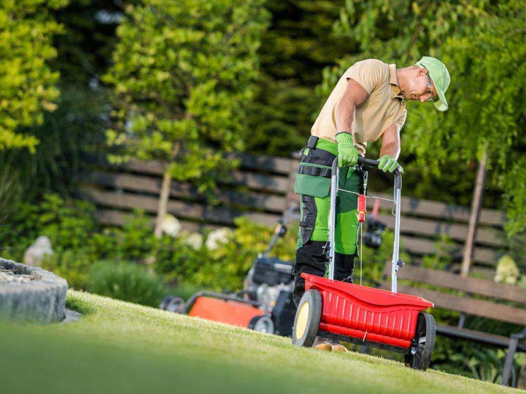 Pflege und Erhalt<span>Regelmäßiges Mähen, das Entfernen von Laub sowie die Pflege von Beeten und Gehölzen sichern eine ansprechende Optik.</span>